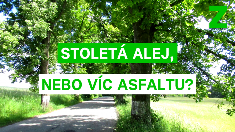 Zničit stoletou alej je horší, než nemít o něco širší pruh asfaltu
